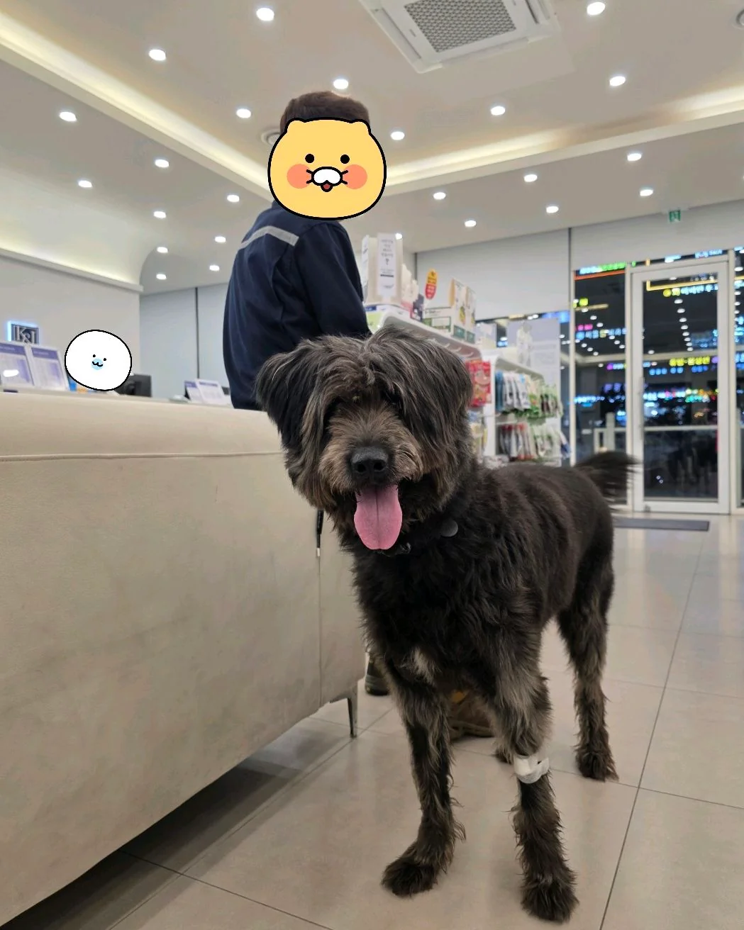 리뷰 사진 2