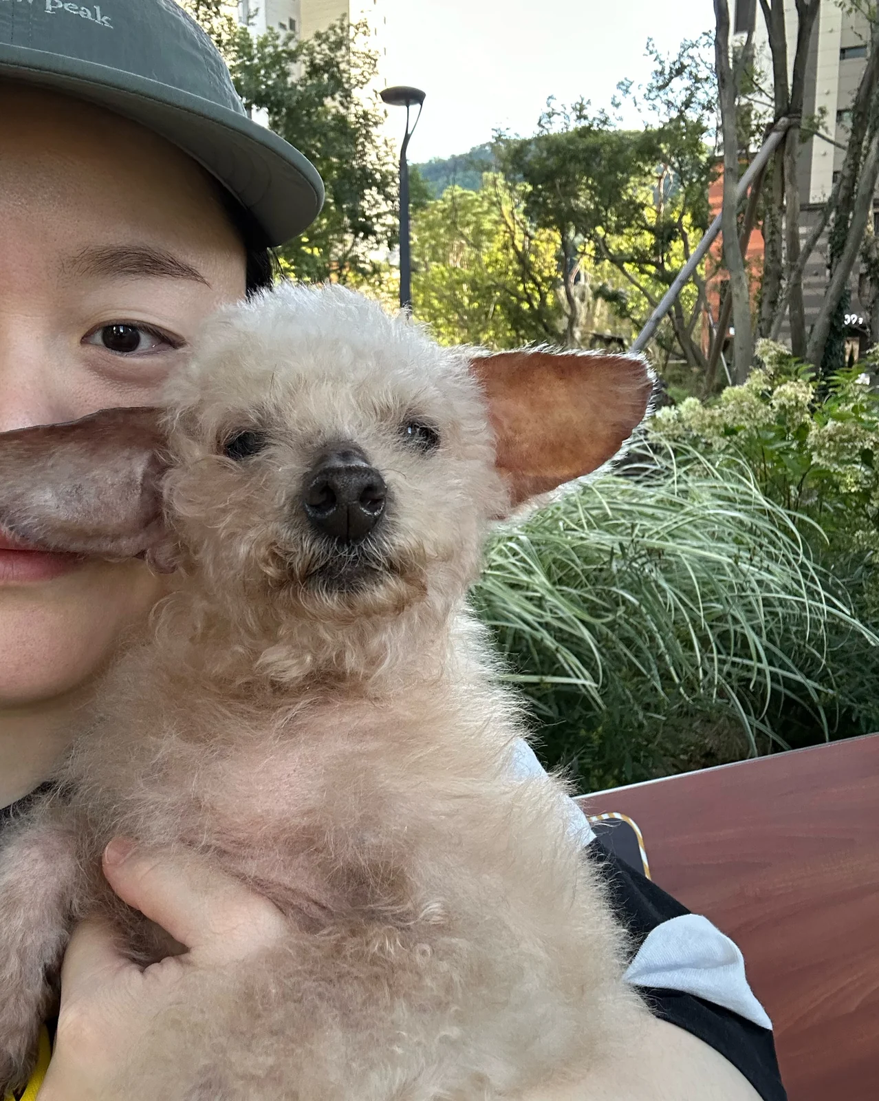 리뷰 사진 2