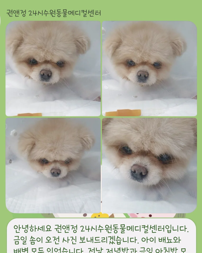 리뷰 사진 2