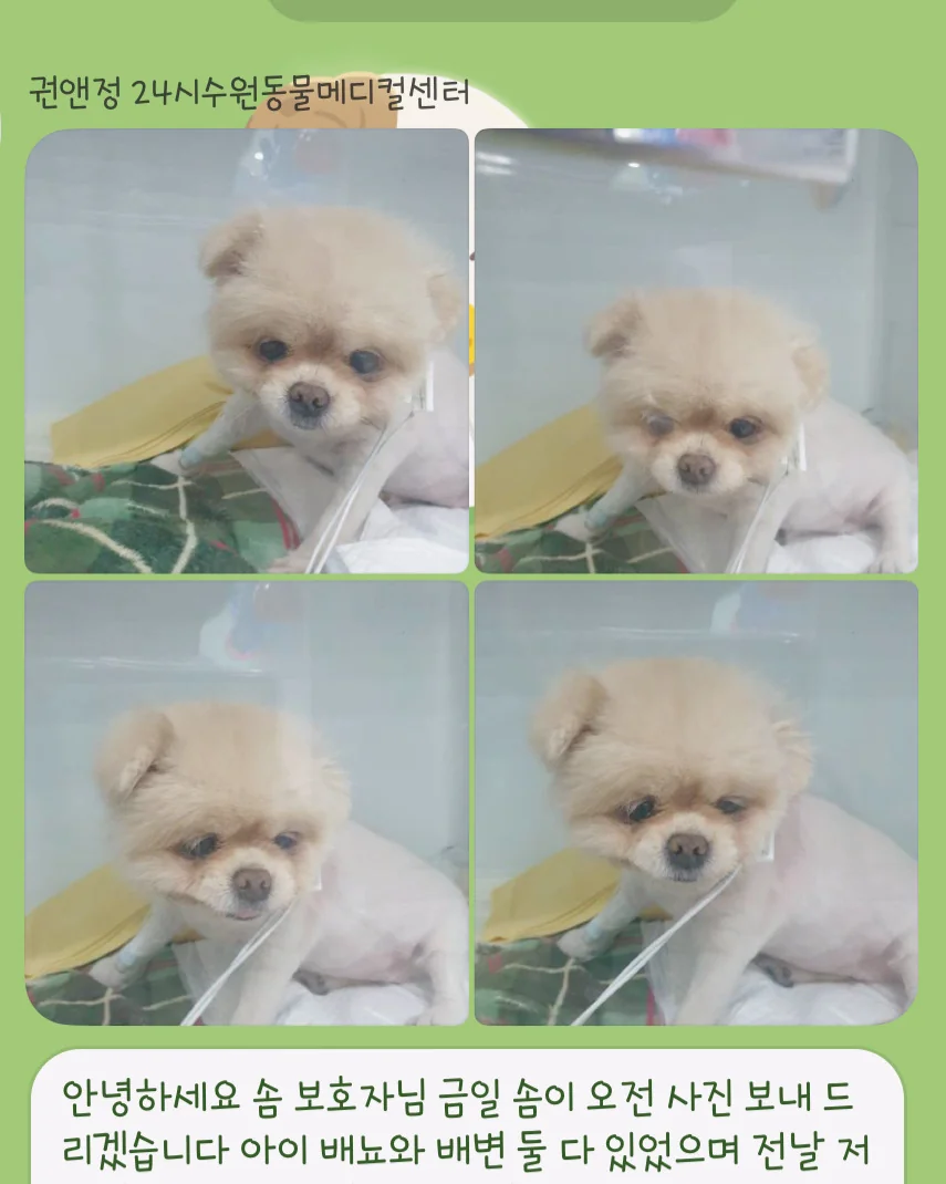리뷰 사진 3
