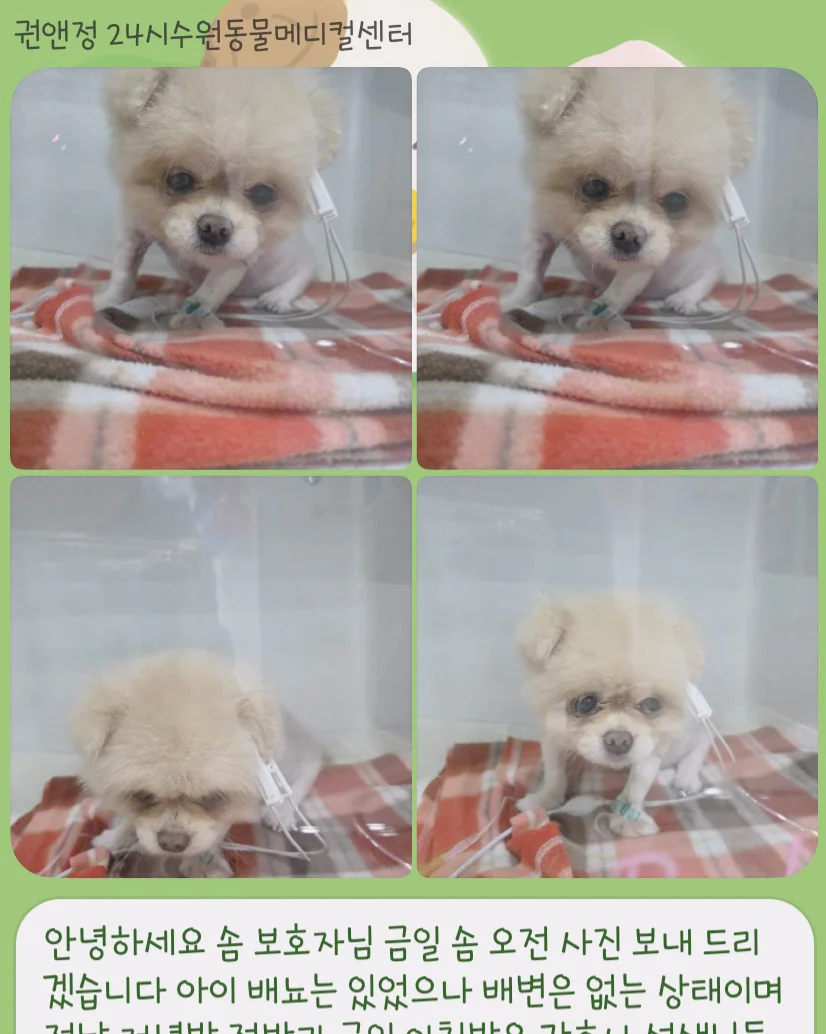 리뷰 사진 4