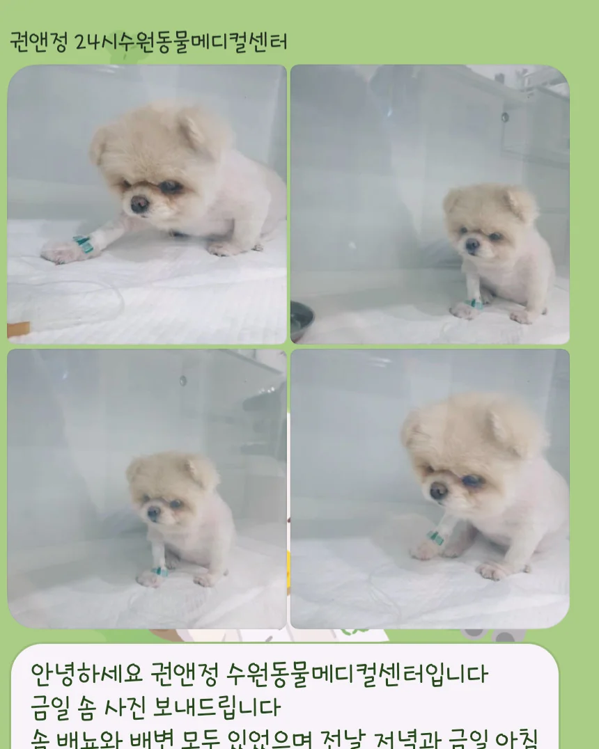 리뷰 사진 5