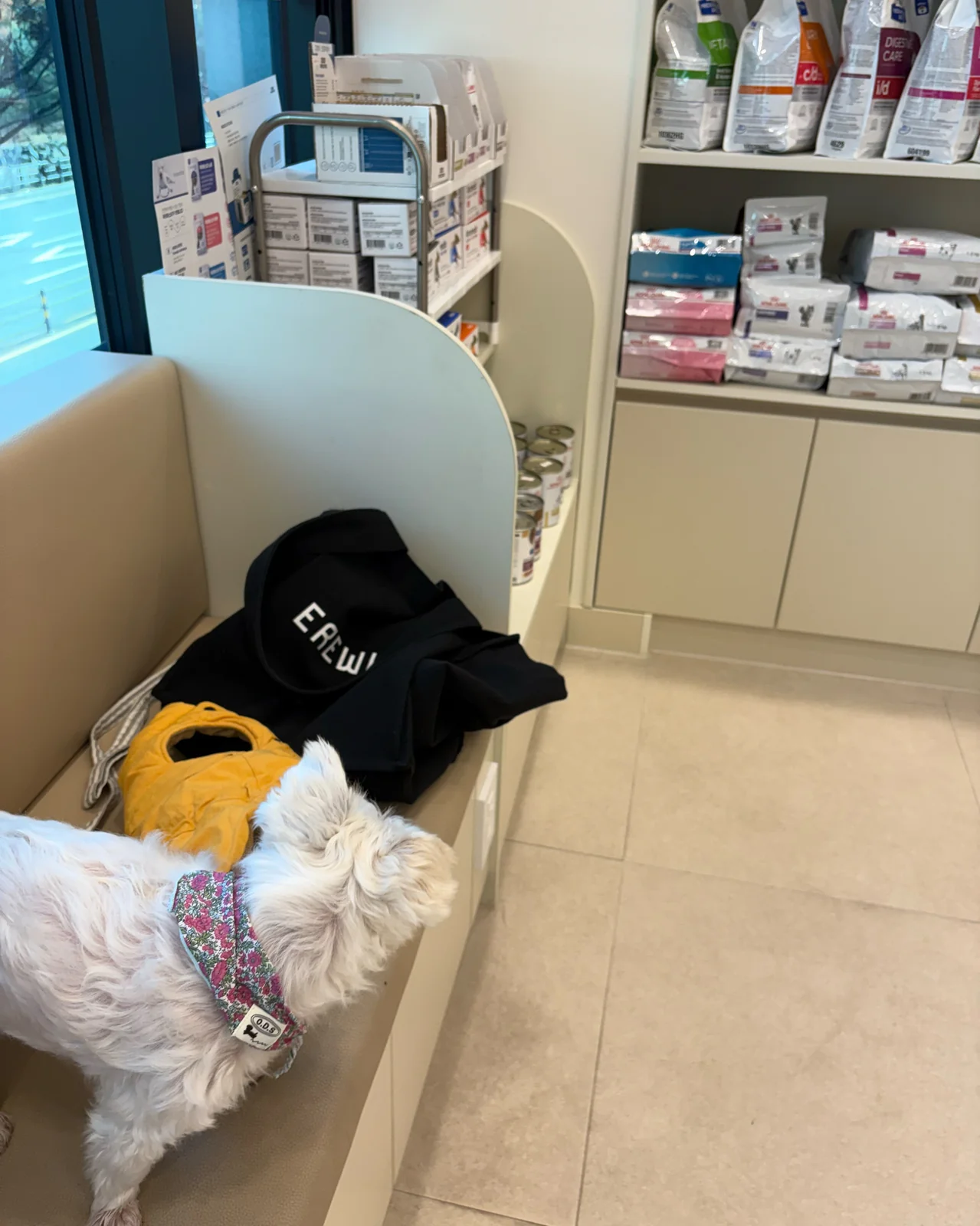 리뷰 사진 3