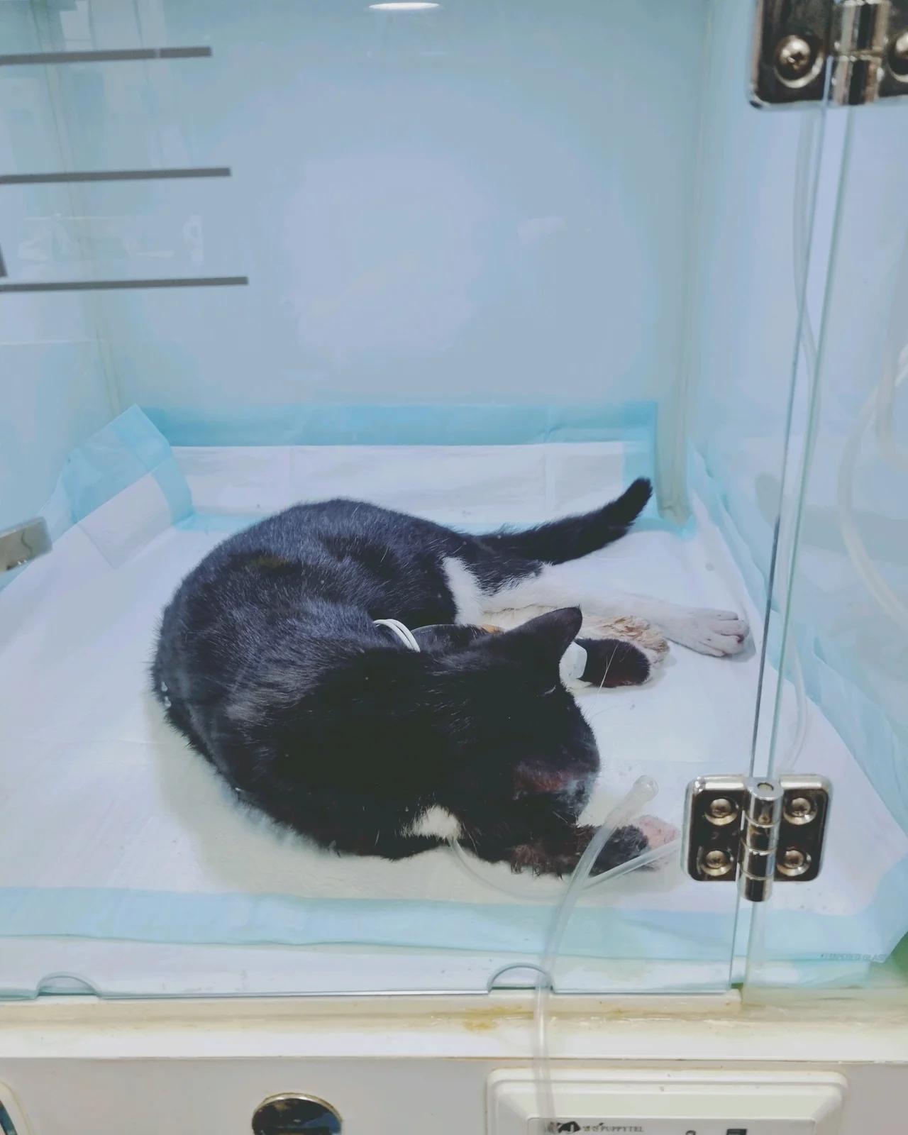 리뷰 사진 1