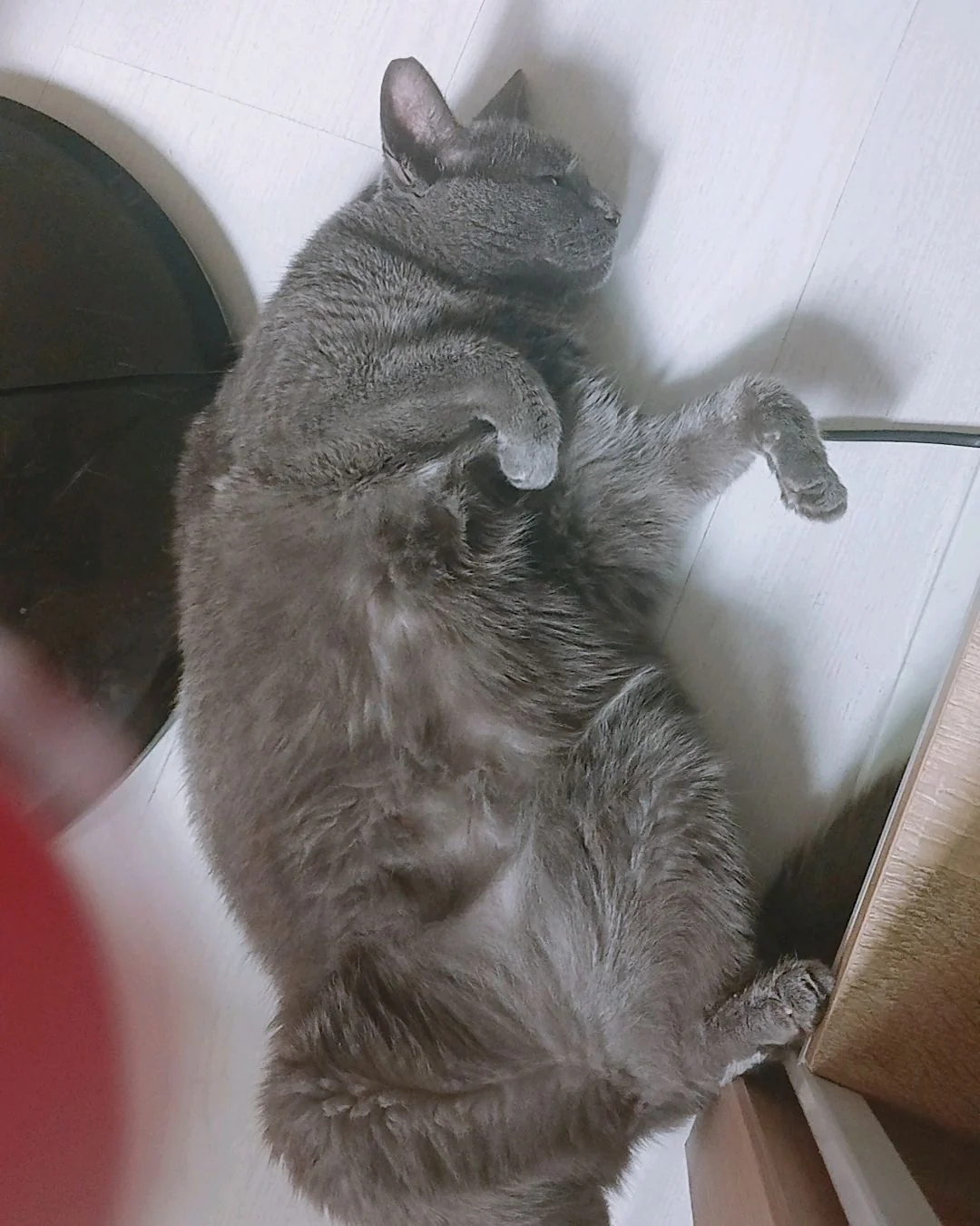 리뷰 사진 1