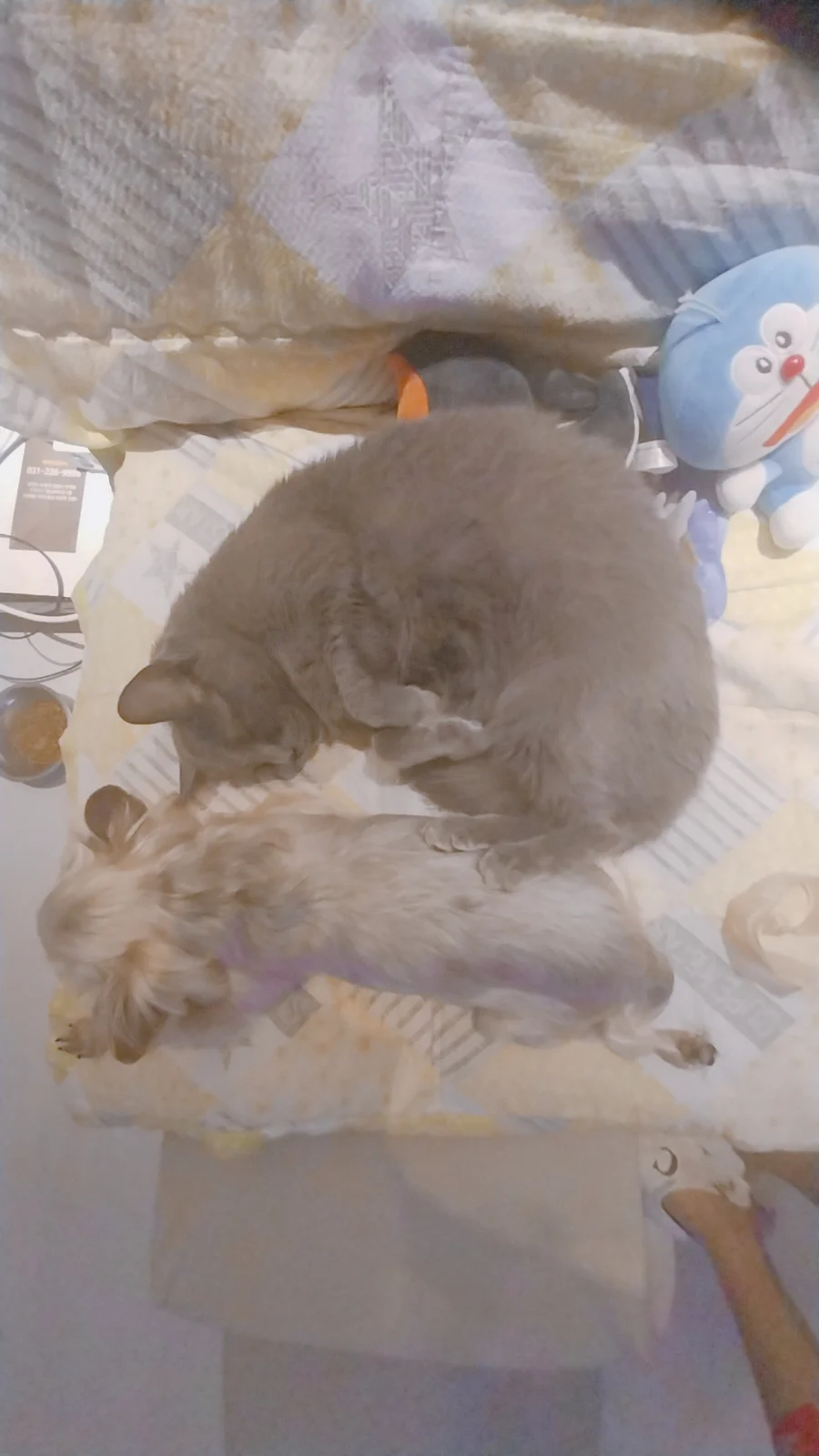 리뷰 사진 1