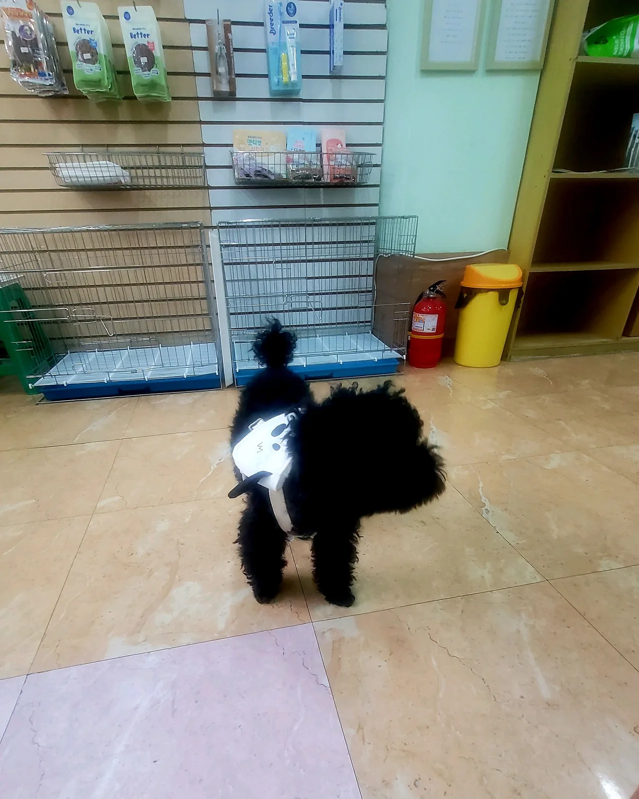 리뷰 사진 2