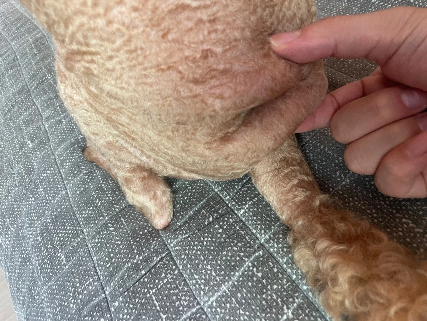 리뷰 사진 1