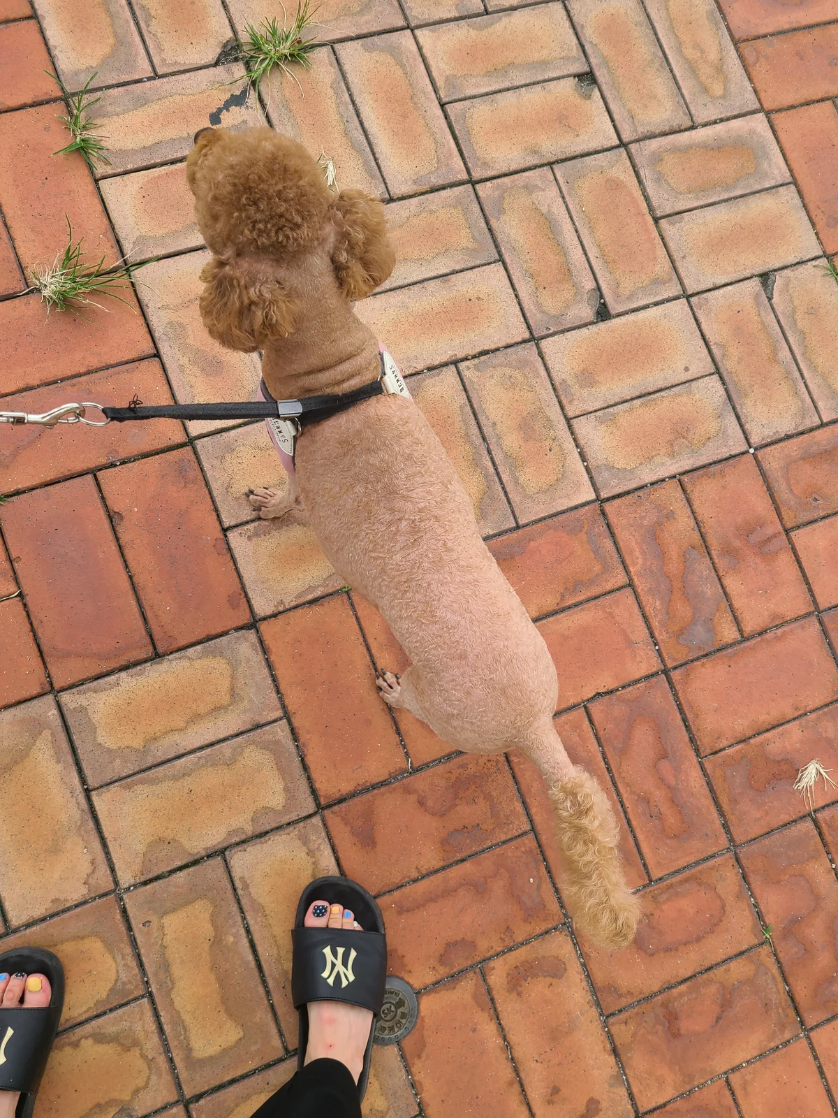 리뷰 사진 2