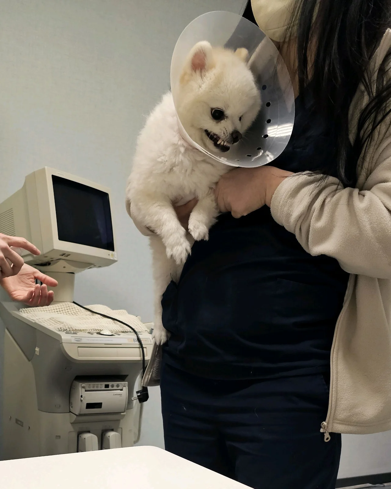 리뷰 사진 2