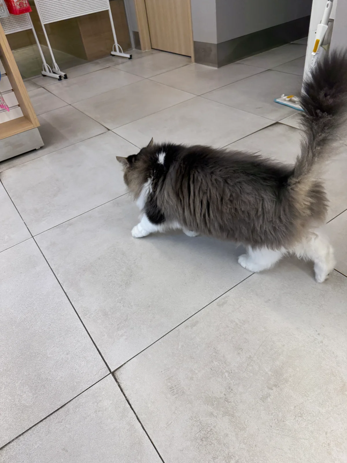 리뷰 사진 1