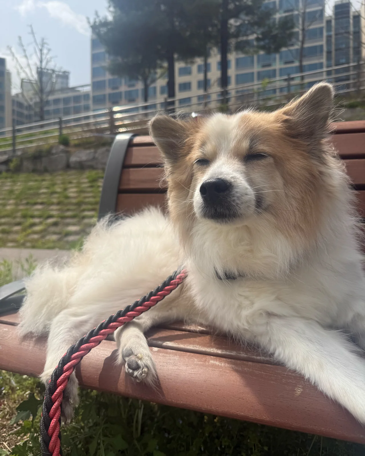 리뷰 사진 3