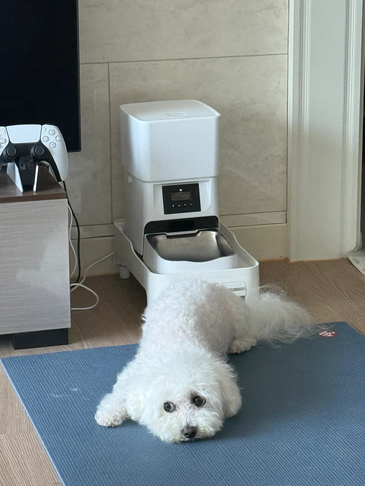 리뷰 사진 1