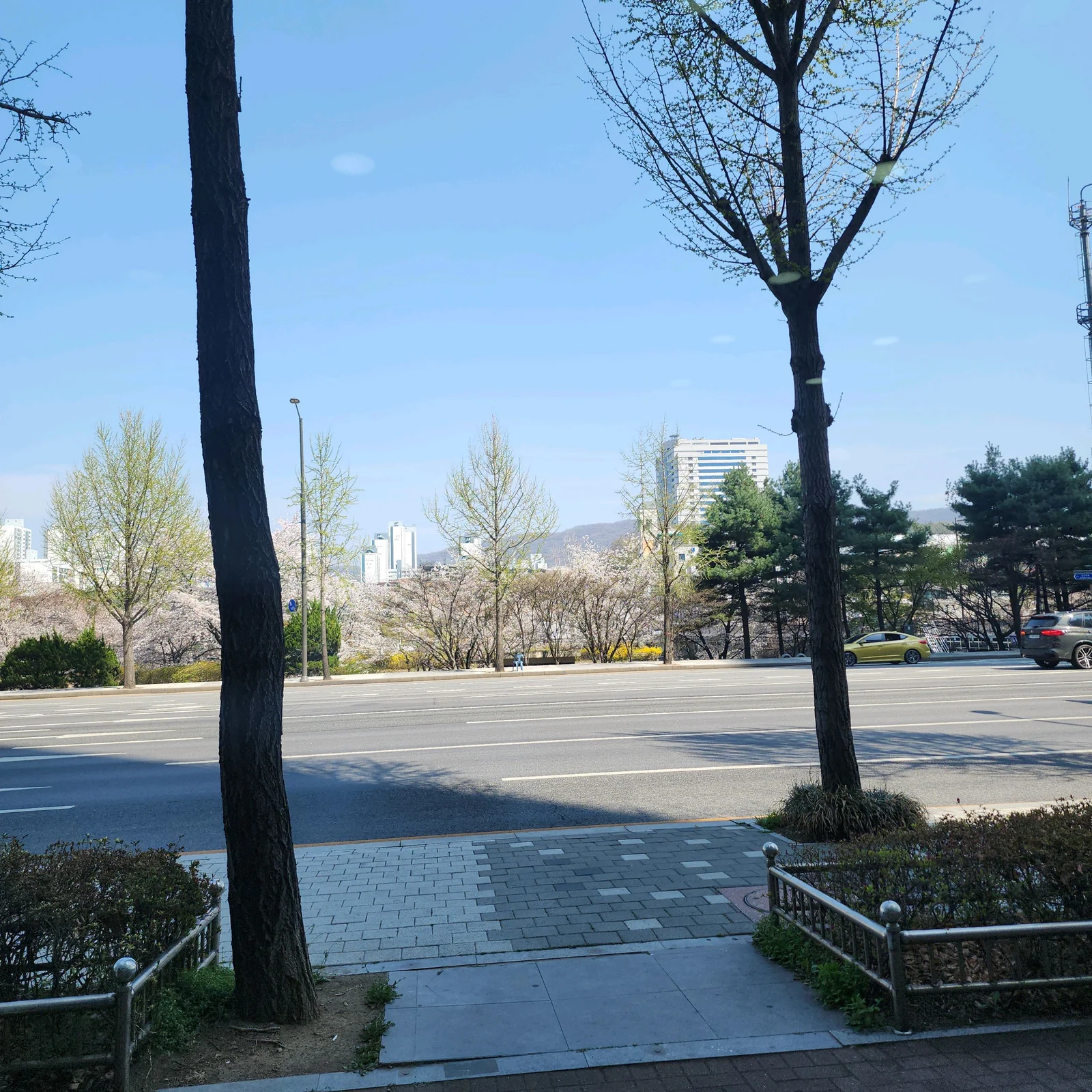 리뷰 사진 1