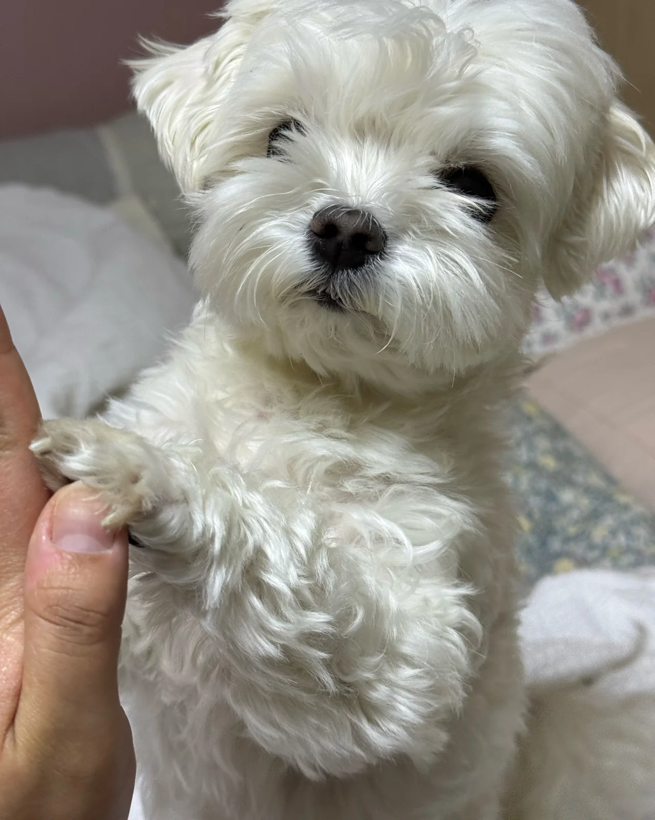리뷰 사진 1