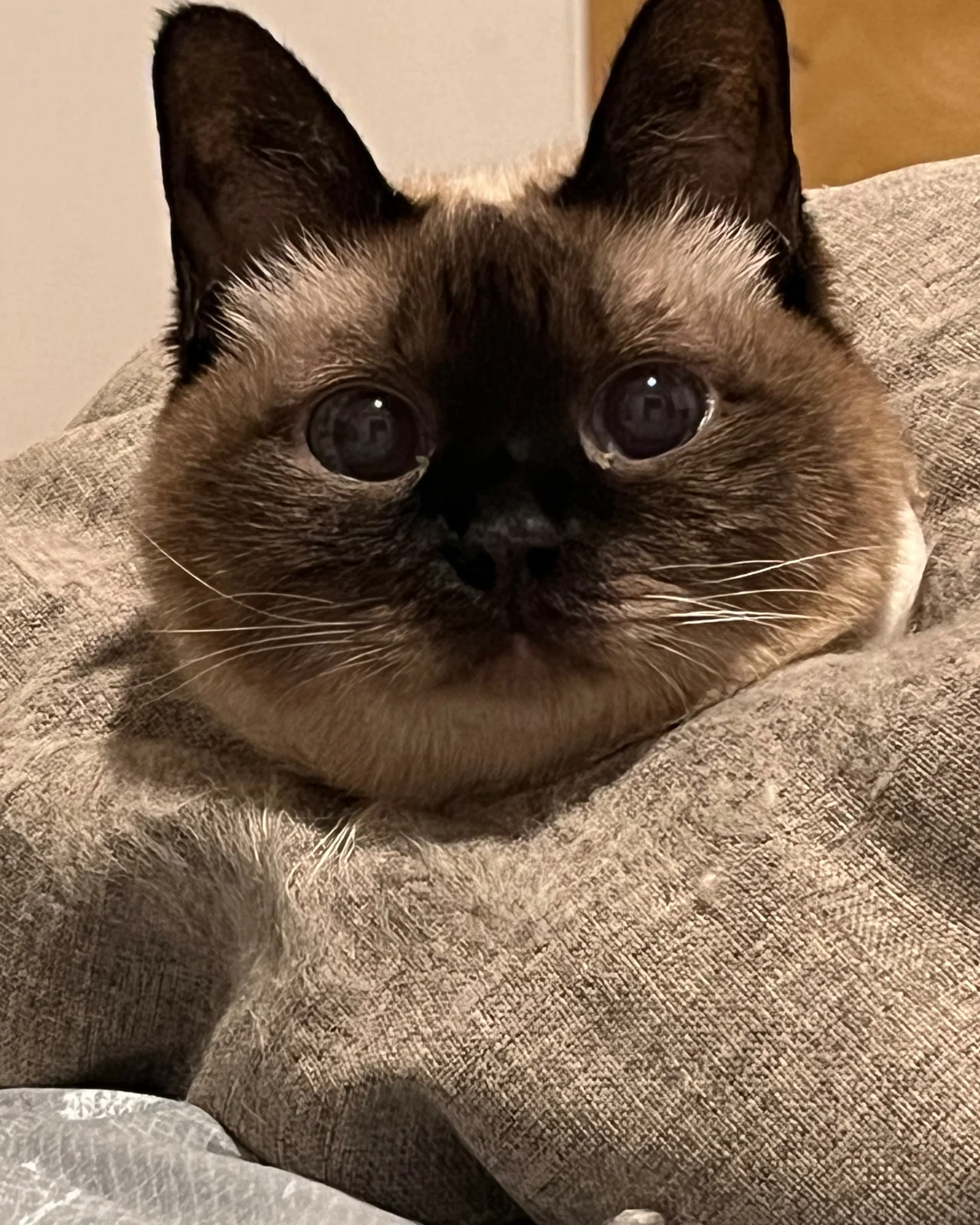 리뷰 사진 1