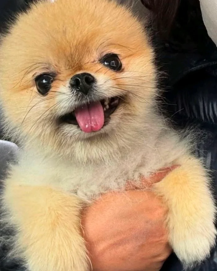 리뷰 사진 1