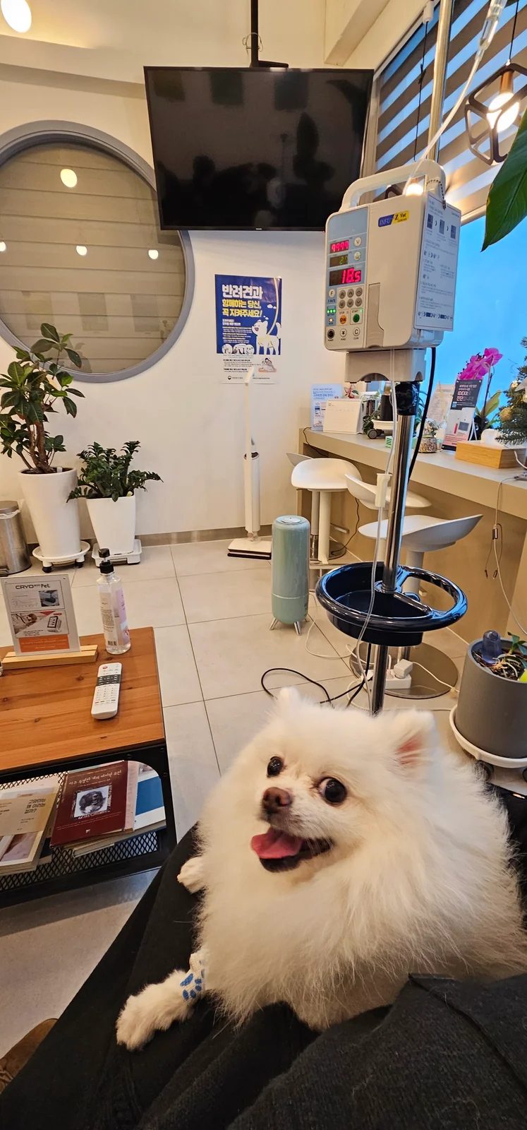 리뷰 사진 1