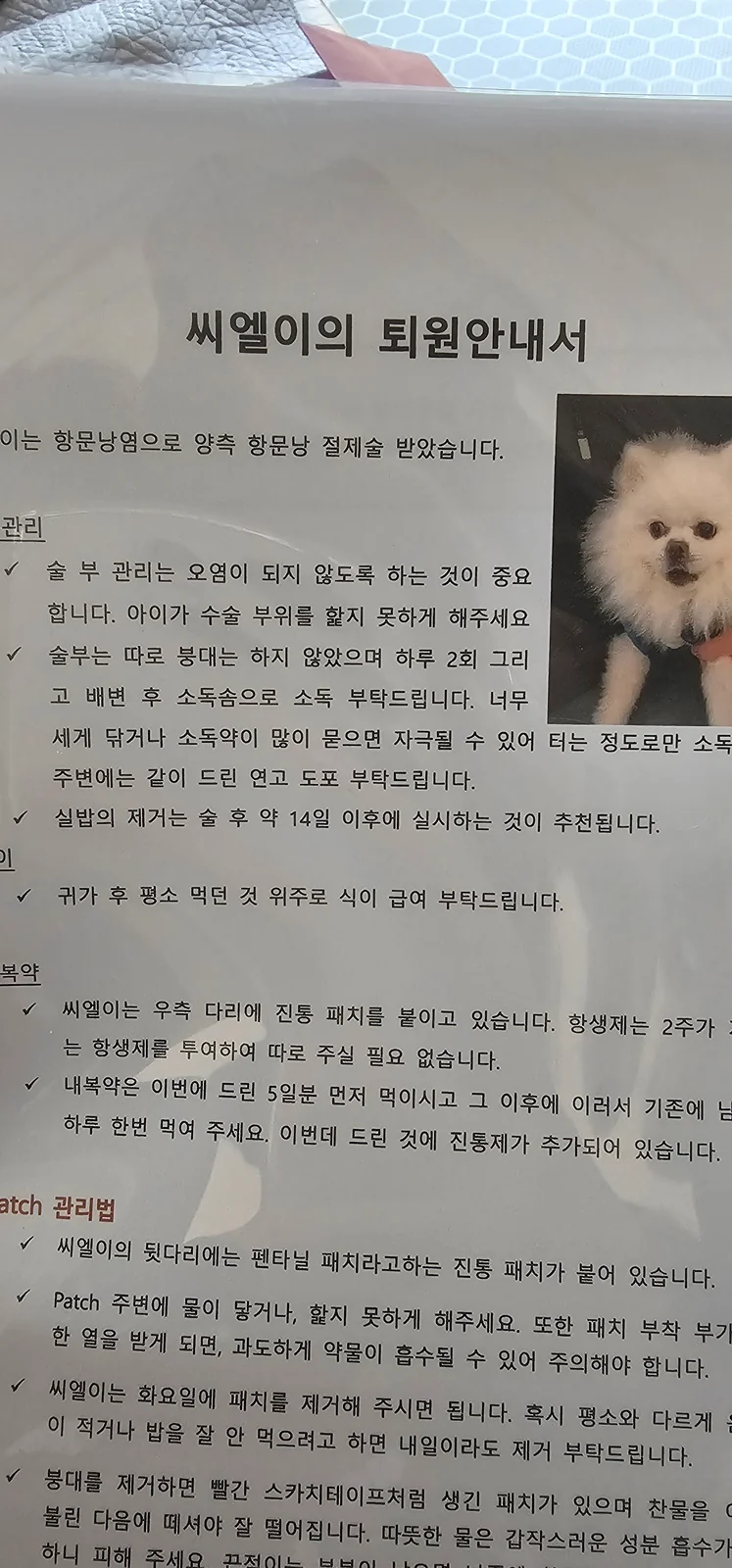 리뷰 사진 2