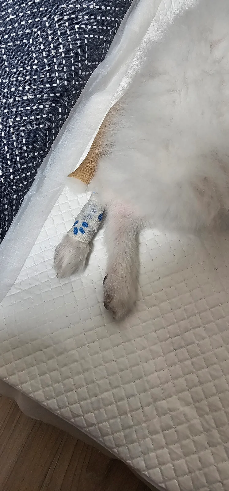 리뷰 사진 3