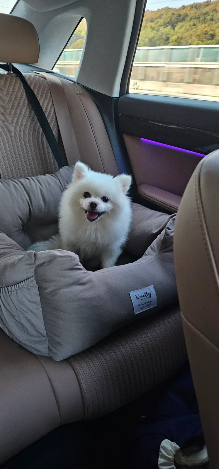 리뷰 사진 1