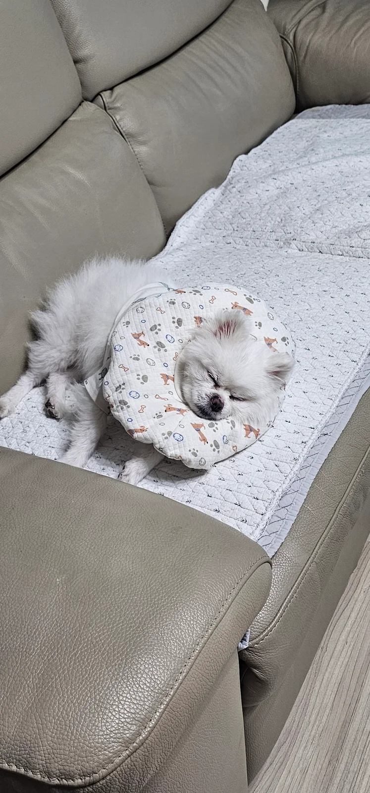 리뷰 사진 2