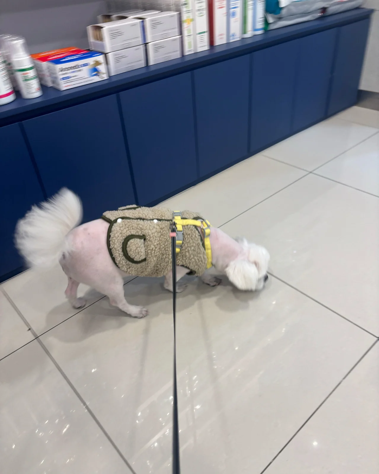 리뷰 사진 1