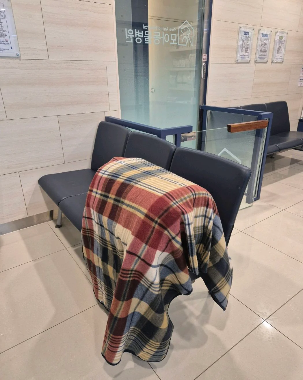 리뷰 사진 1