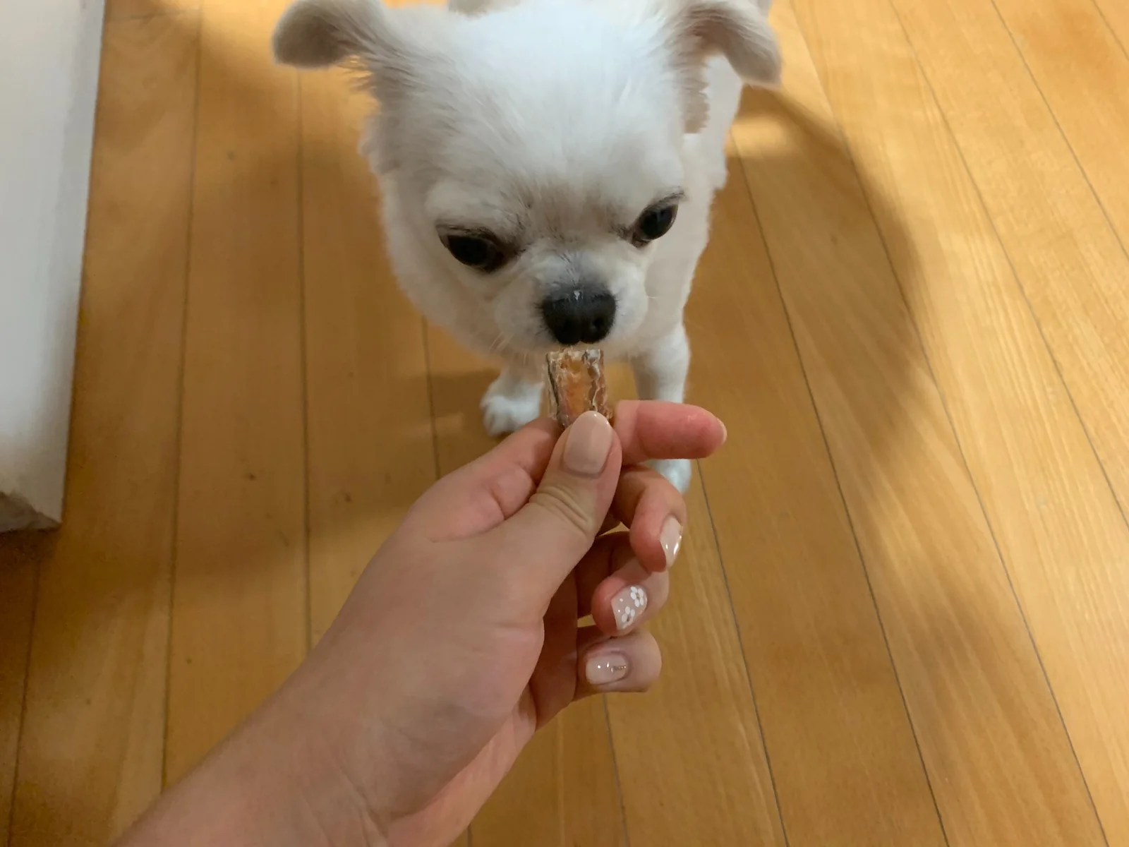 시드니동물병원 사진 2