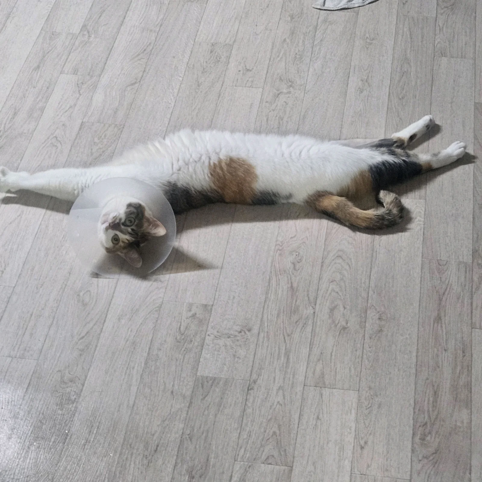 리뷰 사진 1