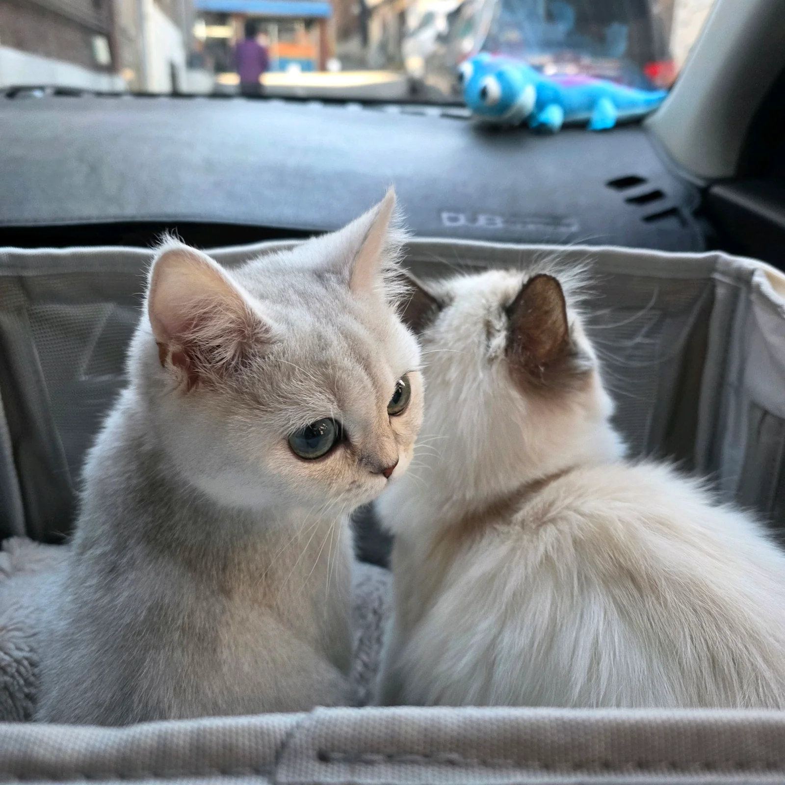 리뷰 사진 2