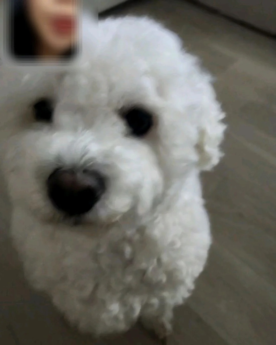 리뷰 사진 1