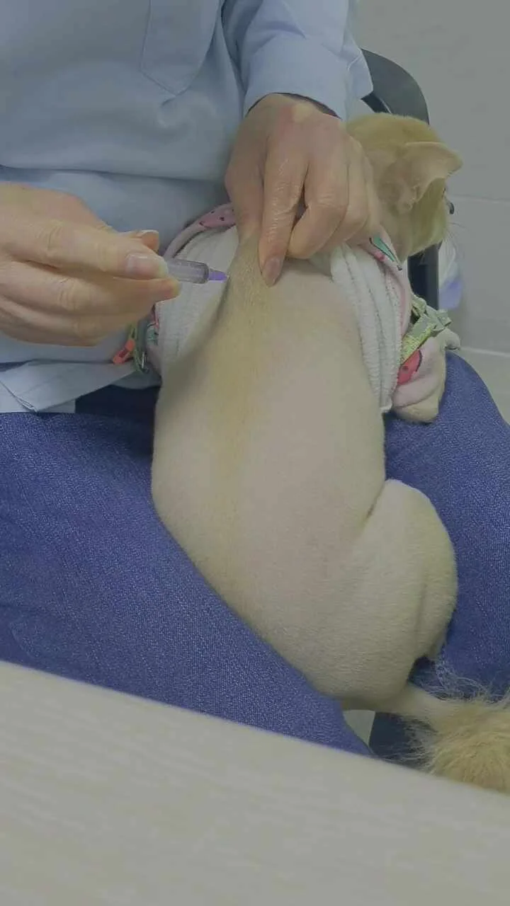 리뷰 사진 1