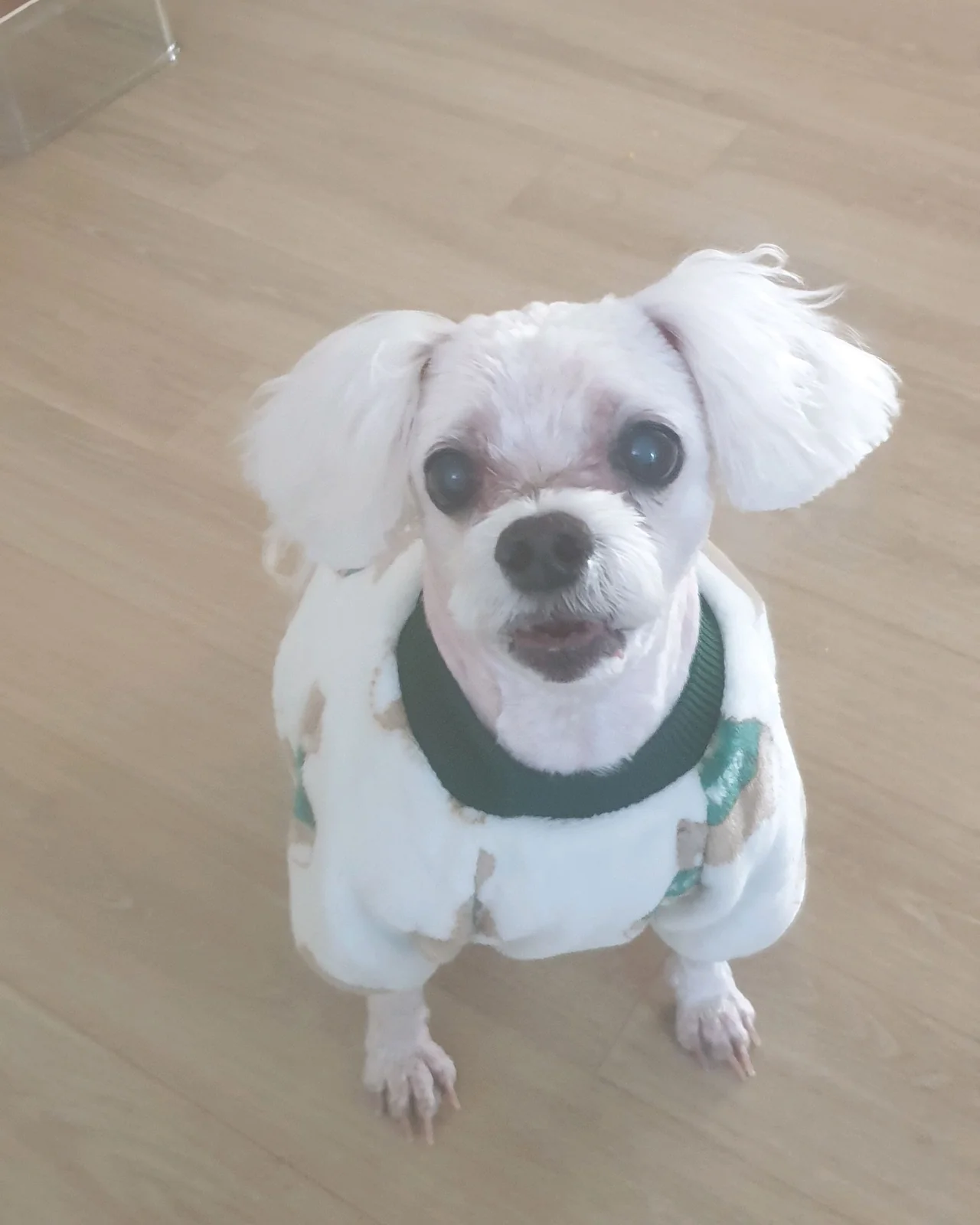 리뷰 사진 1