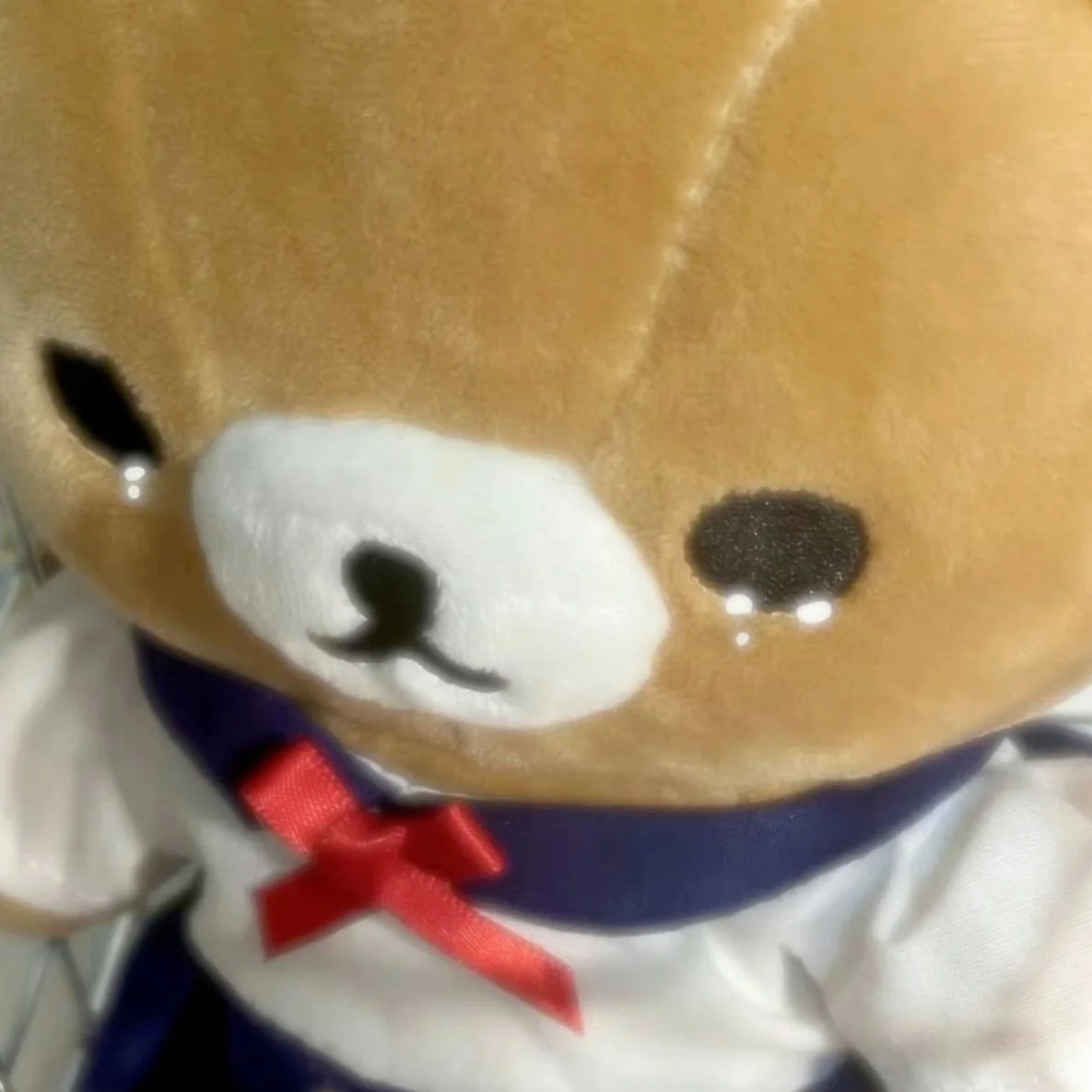 리뷰 사진 1