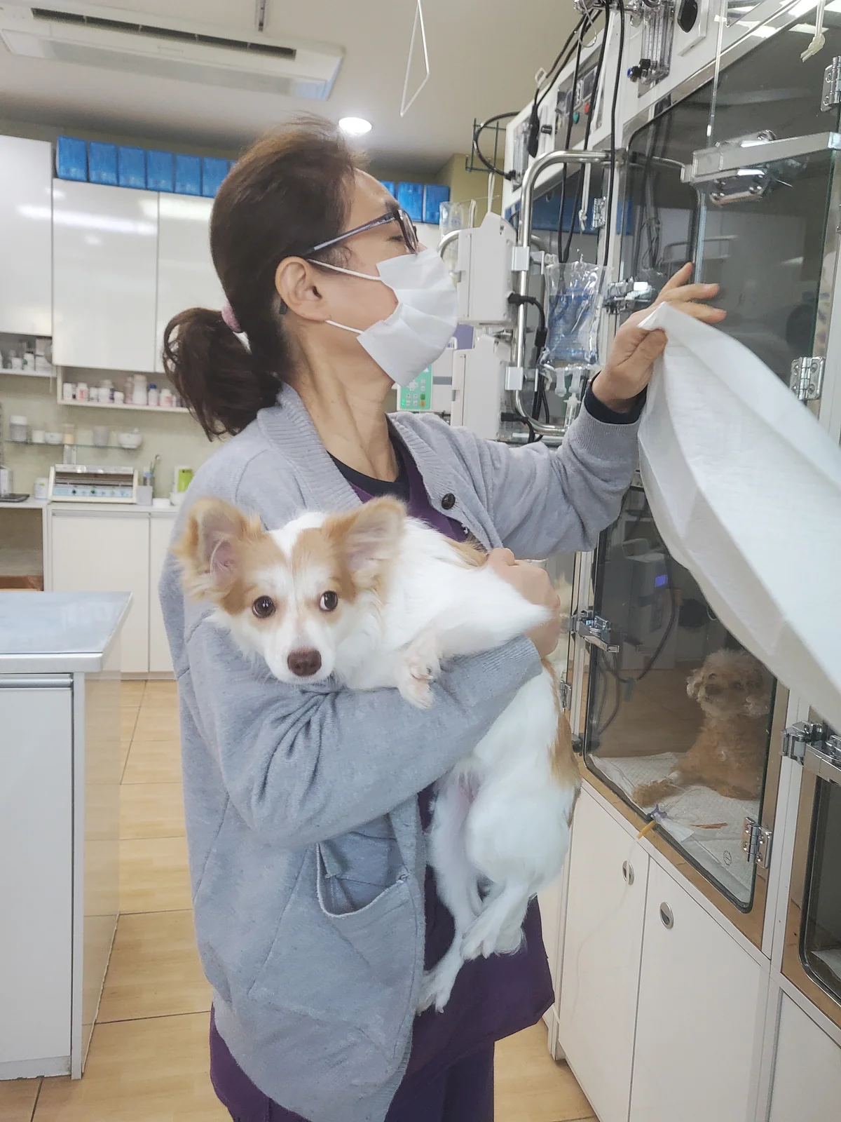 리뷰 사진 3