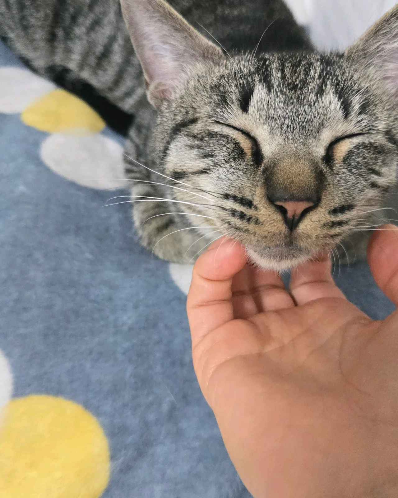 리뷰 사진 1
