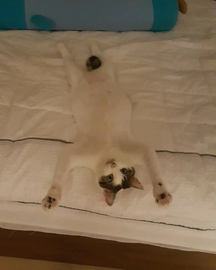리뷰 사진 1
