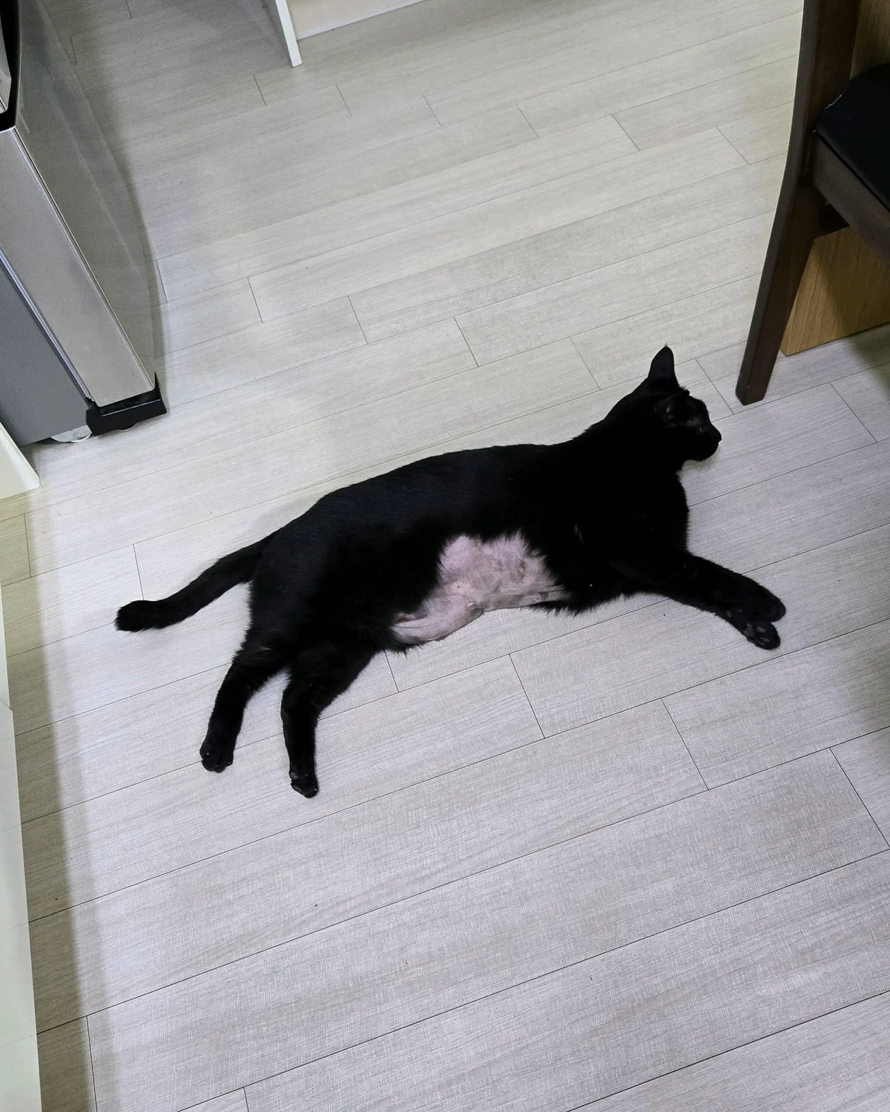 리뷰 사진 2