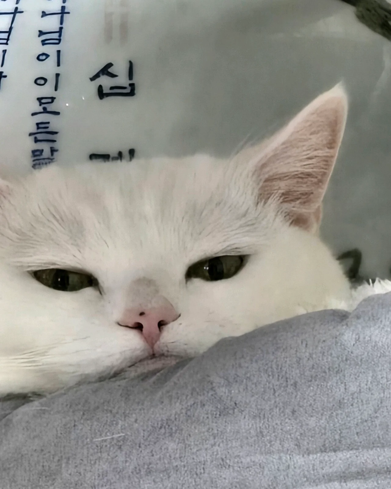 리뷰 사진 4