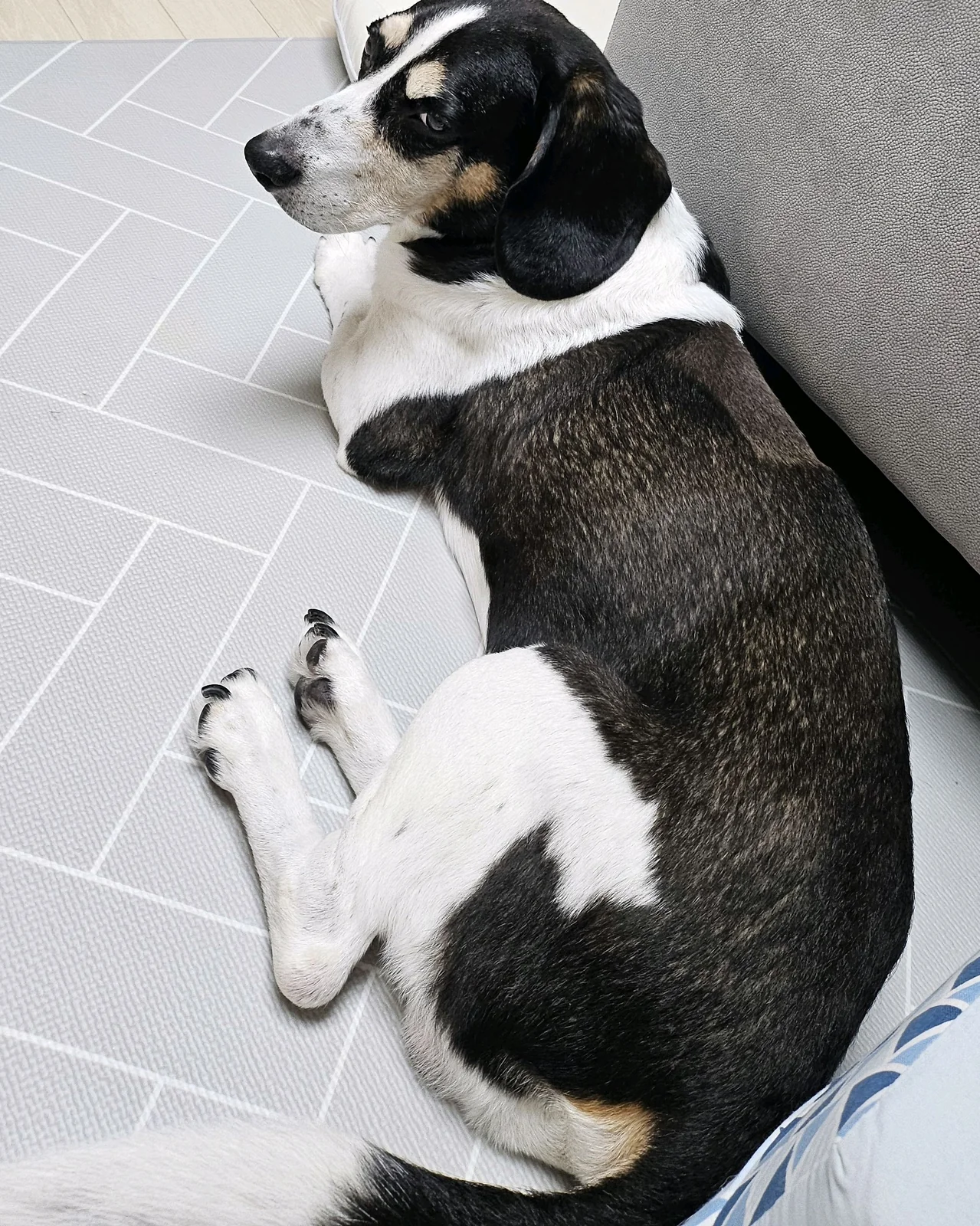 리뷰 사진 1