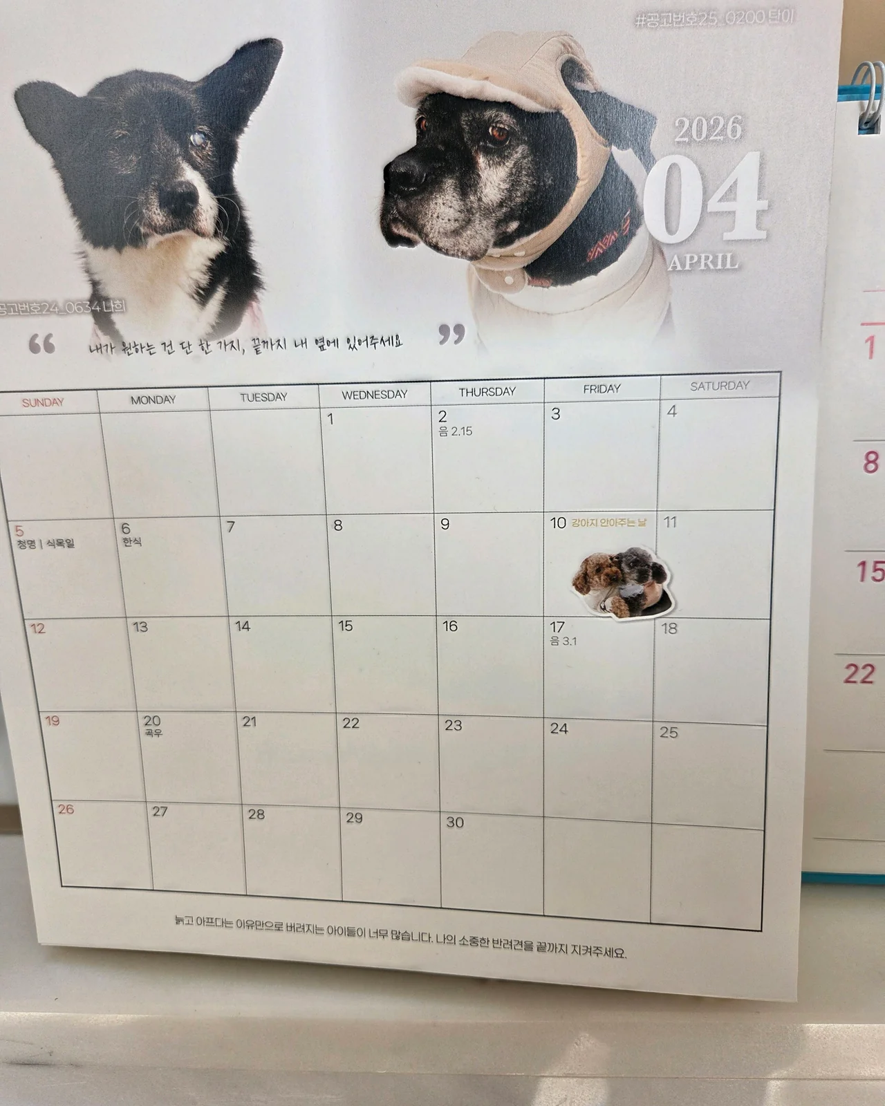 리뷰 사진 2
