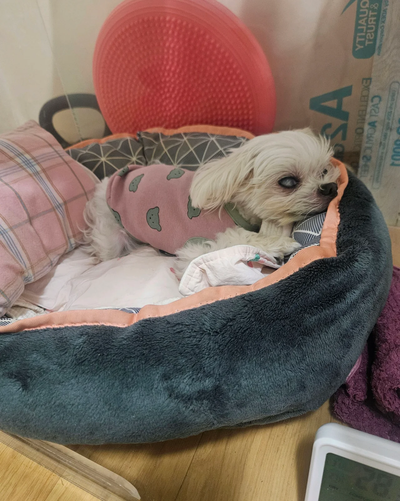 리뷰 사진 1