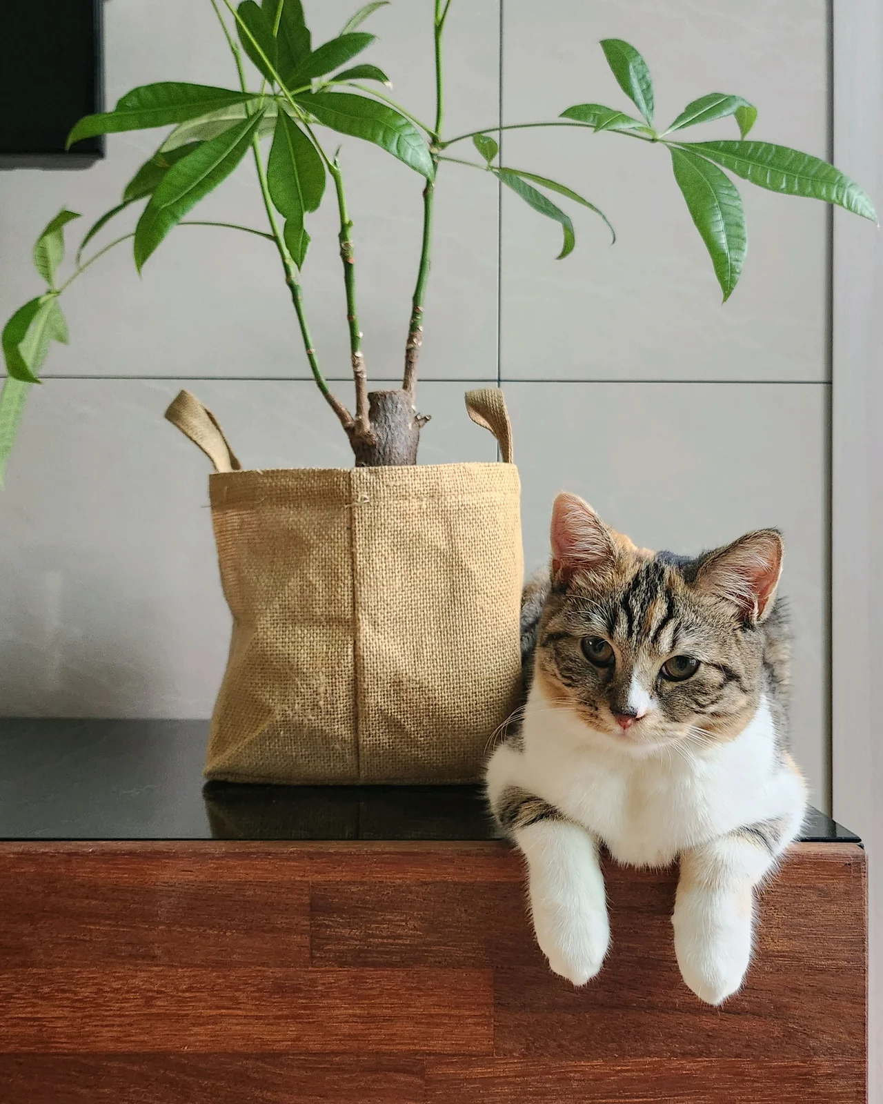 리뷰 사진 1