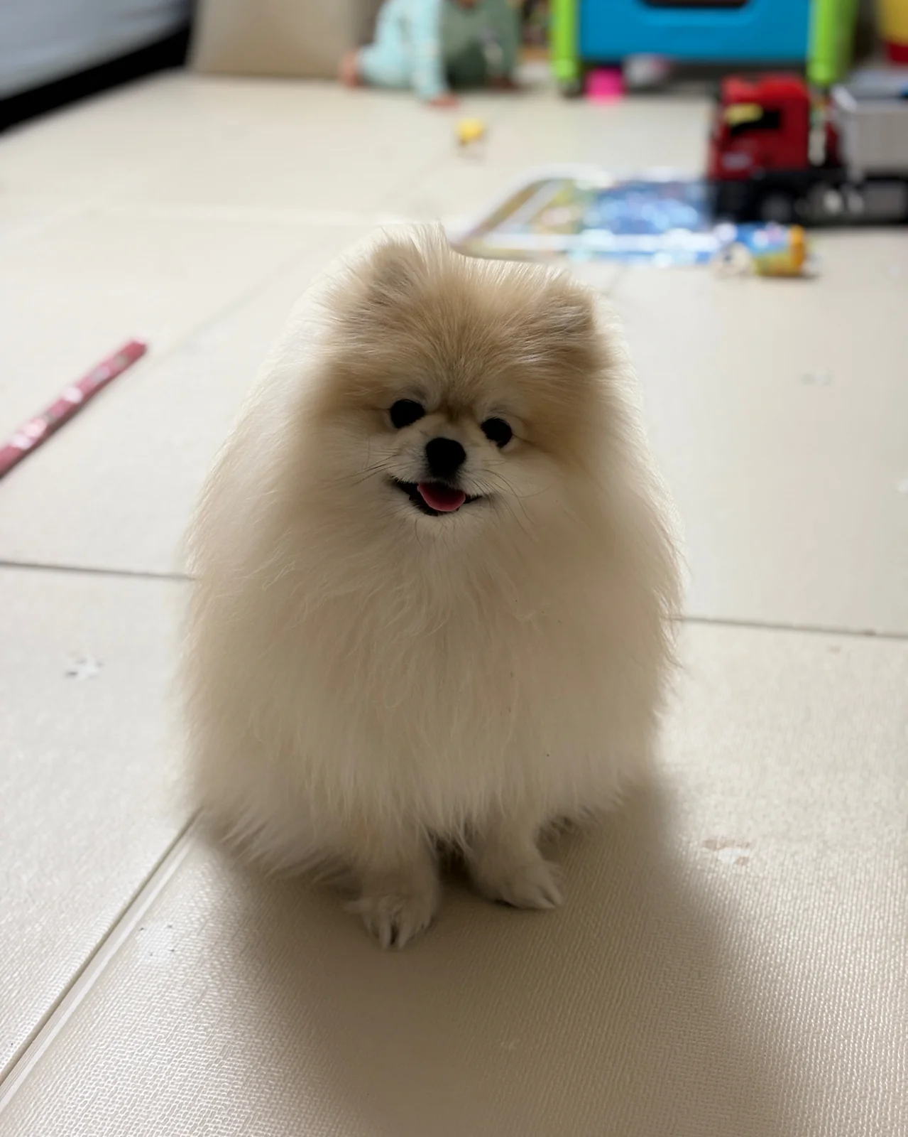 리뷰 사진 1