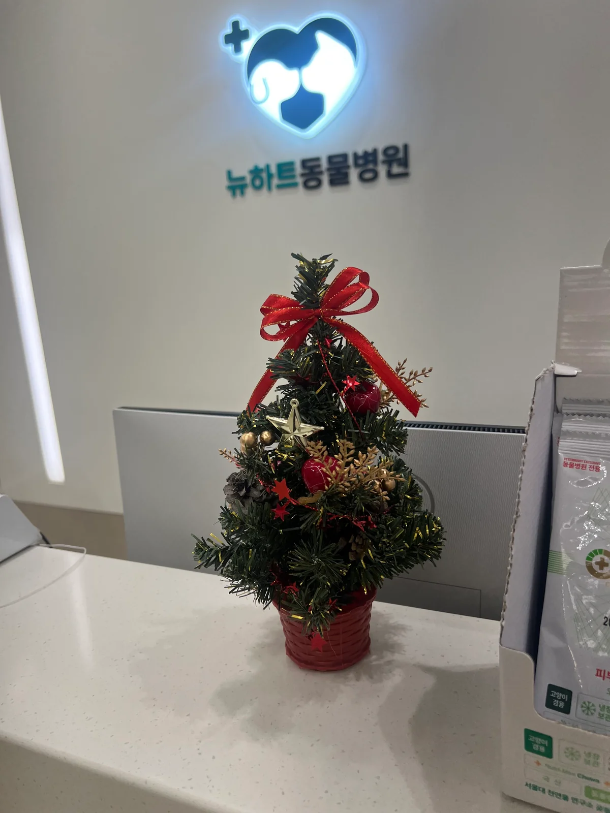 리뷰 사진 1