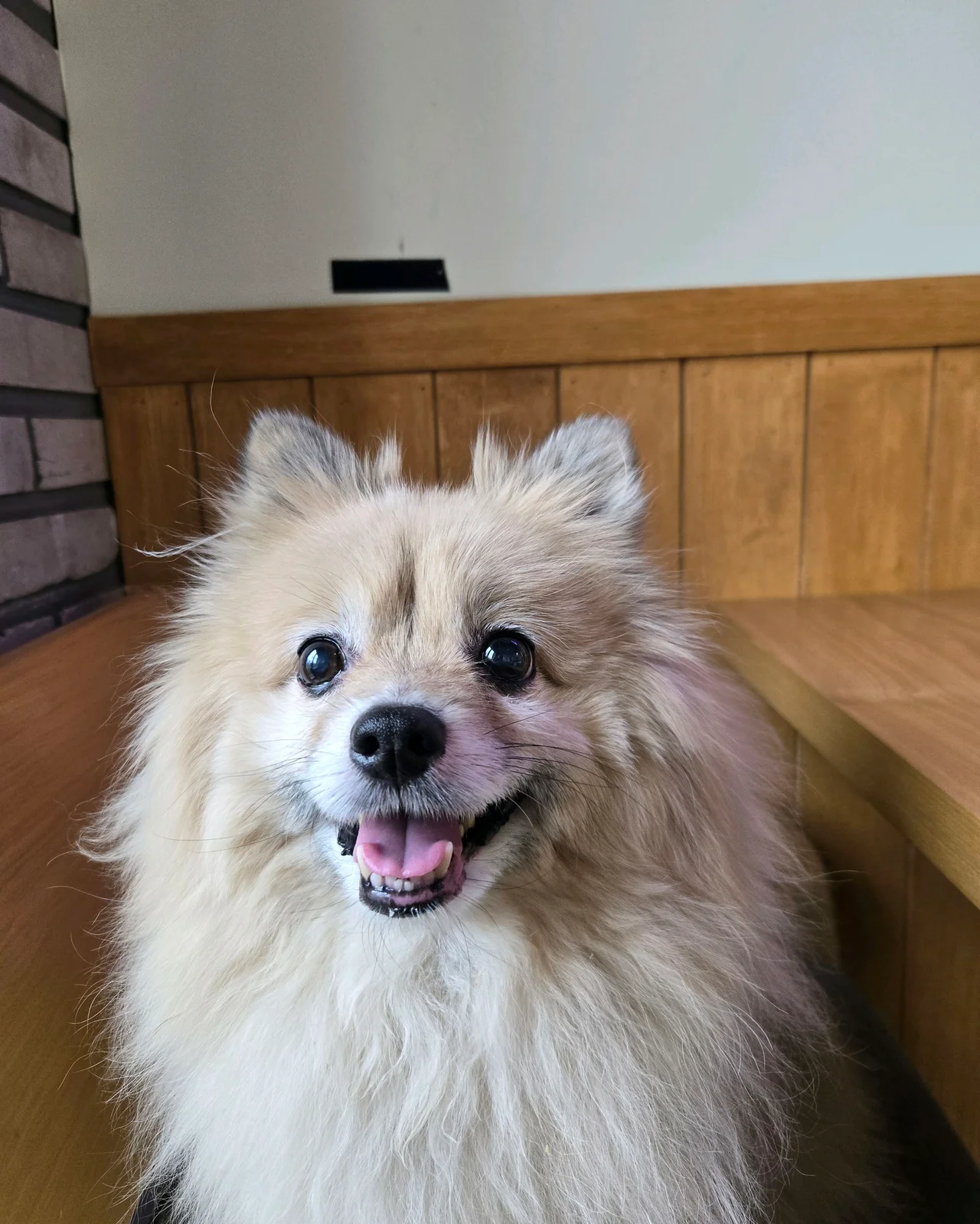 리뷰 사진 1