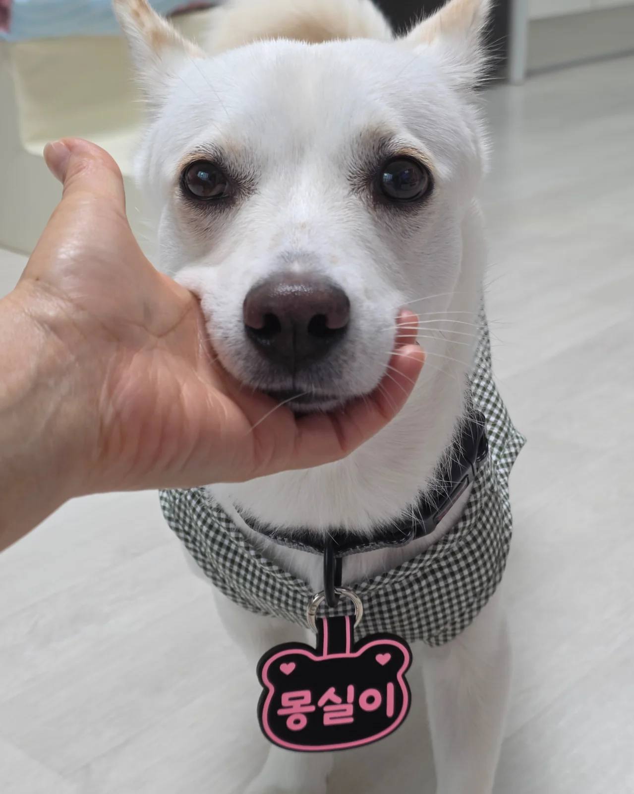 리뷰 사진 1