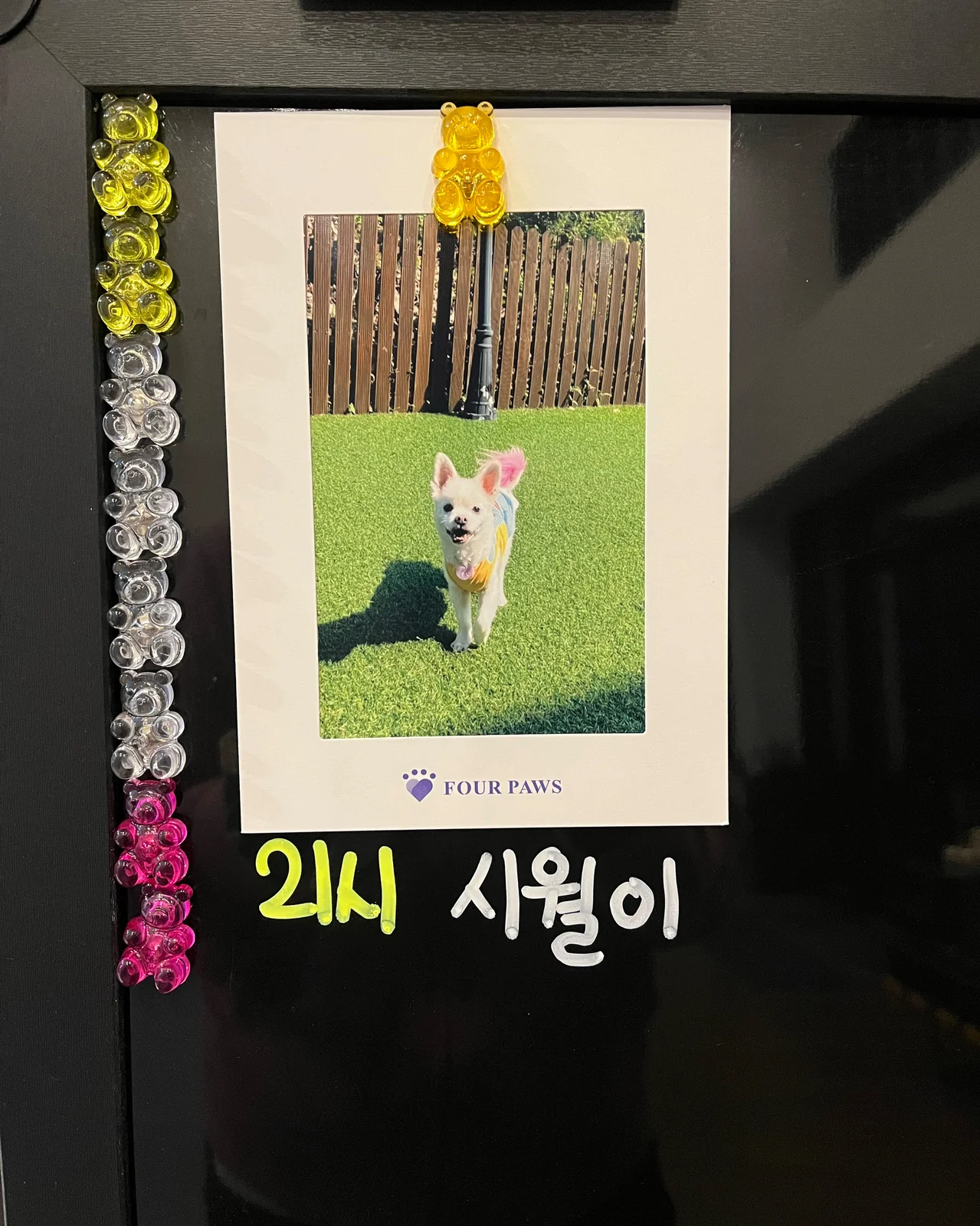 리뷰 사진 2
