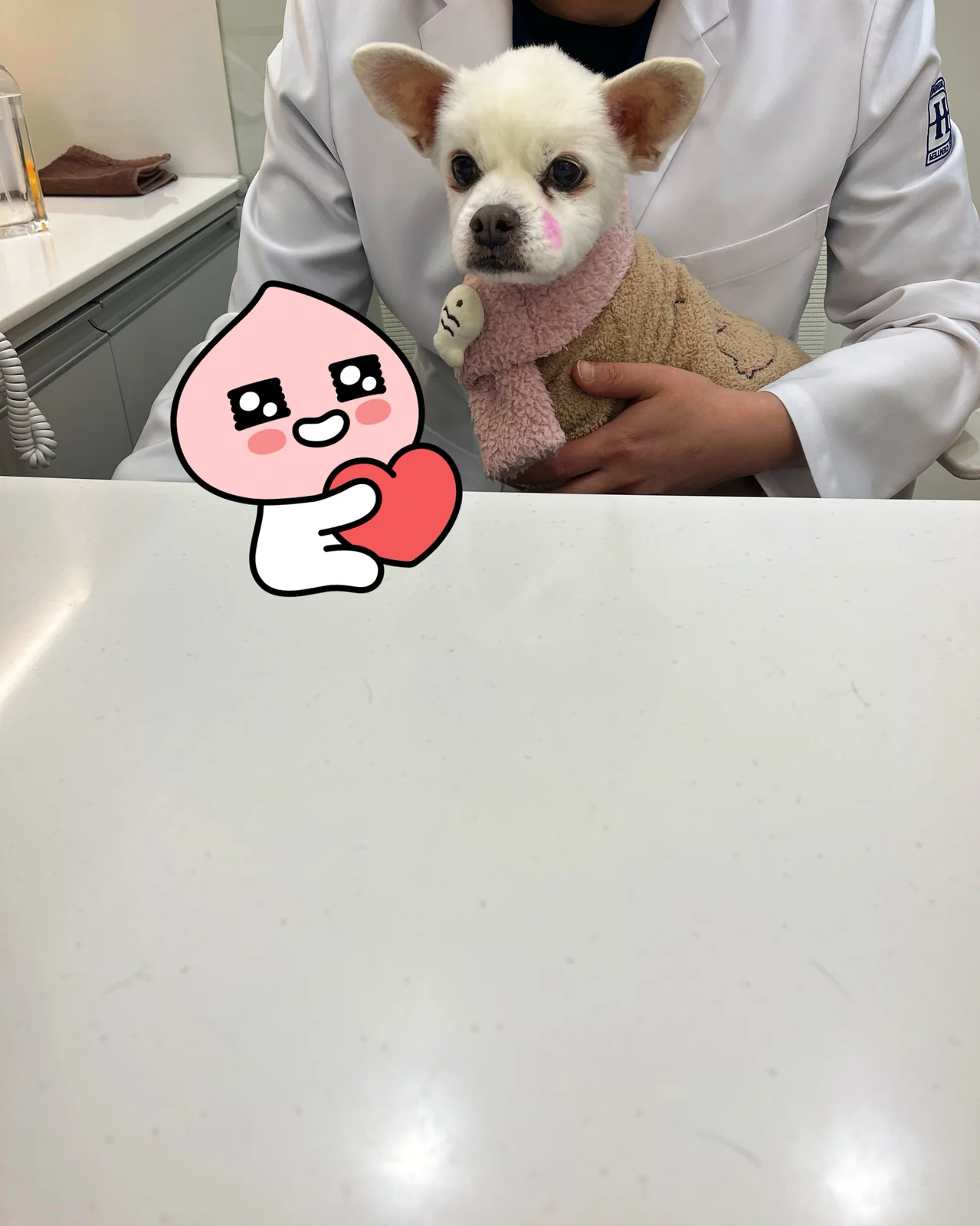리뷰 사진 2